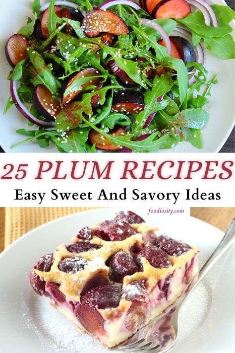 Plums, with their juicy sweetness and tangy undertones, are not only a delightful fruit to munch on but also a versatile ingredient in the kitchen. From refreshing drinks to hearty mains and delectable desserts, these 25 plum recipes highlight the diverse ways you can incorporate this vibrant fruit into your meals, showcasing its potential beyond just a simple snack. Blue Plum Recipes, Savory Plum Recipes, Recipes Using Canned Plums, Things To Make With Plums, Sour Plum Recipes, Plum Salad Recipes, Plum Recipes Savory, Recipes Using Plums, Red Plum Recipes