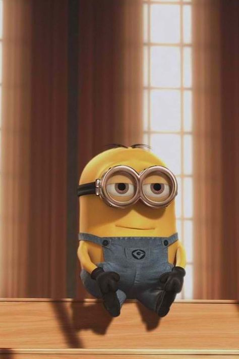 Minion iPhone wallpaper Minions Pics, Minion Pictures, Minions Love, Cute Minions, Minions Wallpaper, A Minion, Minion Quotes, Funny Minion Quotes, Minions Quotes