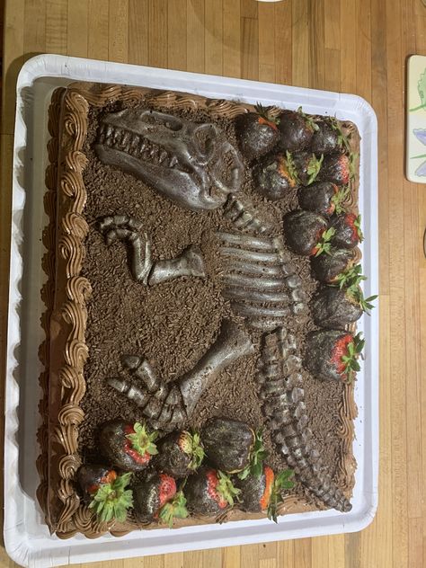 Oreo Dinosaur Cake, Fossil Cake Ideas, Chocolate Dinosaur Cake, Fossil Birthday Cake, Dinosaur Grooms Cake, Dinosaur Skeleton Cake, Dinosaur Fossil Cake, Dinosaur Sheet Cake, Dinosaur Dig Birthday