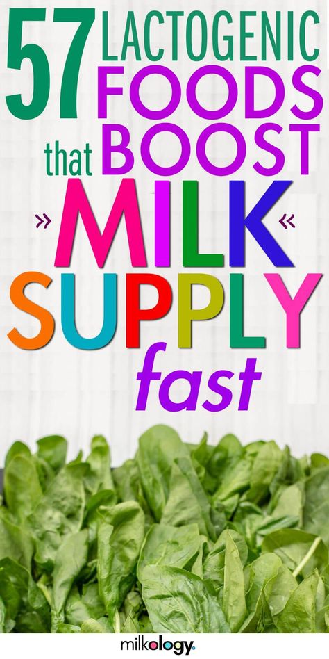 57 Amazing Lactogenic Foods to Increase Milk Supply Lactogenic Foods, Foods To Increase Milk Supply, Milk Production Breastfeeding, Breastfeeding Snacks, Boost Milk Supply, Yam Or Sweet Potato, Low Milk Supply, Milk Flow, Breastfeeding Foods