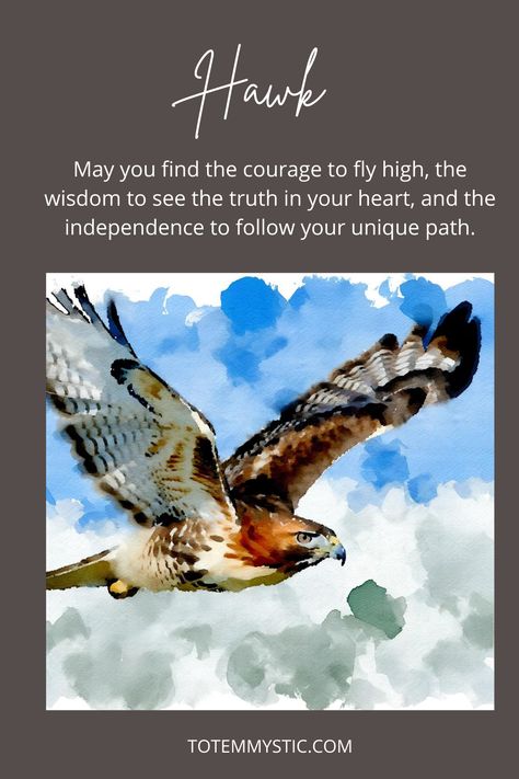 Soar confidently, gaze forward, and ascend courageously, guided by the spirit of the Hawk. #spirit animal #spiritual meaning #totem animal #power animal Hawk Quotes, Hawk Meaning, Hawk Symbolism, Hawk Spirit Animal, Hawk Spirit, Ancient Witch, Spiritual Animals, Totem Animal, Spiritual Animal