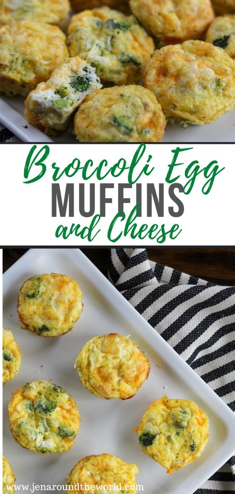 Broccoli Muffins Healthy, Low Carb Breakfast Recipes Easy, Egg Muffins For Toddlers, Broccoli Cheese Egg Bites, Breakfast Ideas Broccoli, Brocolli Egg Bites, Broccoli For Breakfast, Broccoli Egg Cups, Broccoli And Egg Recipes