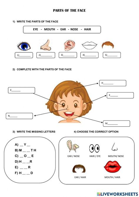 Body Parts For Kids, Esl Kids, Family Worksheet, Kindergarten Classroom Decor, English Worksheets For Kids, English Activities, English As A Second Language (esl), Vocabulary Worksheets, Science Worksheets