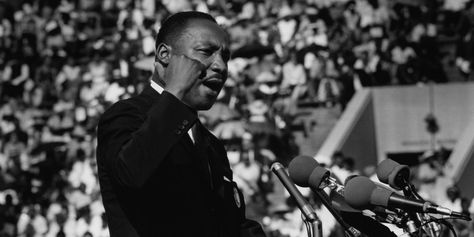 Erik Erikson, Ken Robinson, I Have A Dream Speech, Martin Luther King Jr Quotes, Dr Martin Luther King, Ted Williams, Civil Rights Leaders, Martin Luther King Day, Soldier Field