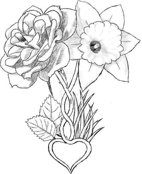 Daffodil | March Birth Flower | Tattoo Ideas - Lilly | May Birth Flower | Tattoo Ideas - design Lilly And Daffodil Tattoo, Carnation And Daffodil Tattoo, Marigold And Daffodil Tattoo, Narcissus Flower Drawing, Flower Drawing Tattoo, Narcissus Tattoo, Narcissus Flower Tattoos, Hannah Tattoo, Sister Tats