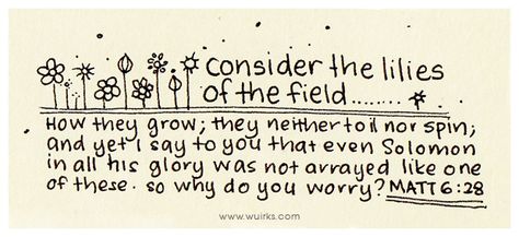 Matthew 6:28-29 Consider the lilies of the field, how they grow: they neither toil nor spin; and yet I say to you that even Solomon in all his glory was not arrayed like one of these. #bible #verses #illustration #handdrawn Lily Of The Valley Bible Verse, Consider The Lilies Of The Field, Everything Is Ok, Yellow Quotes, Consider The Lilies, Lilies Of The Field, God Speaks, Children Wear, Matthew 6