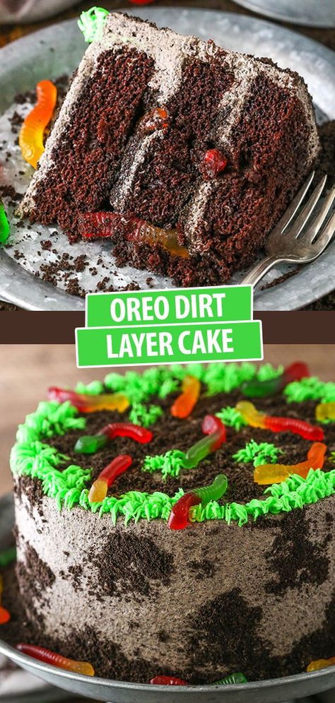 Gummy Worm Dirt Cupcakes, Layered Dirt Cake, Loaded Birthday Cake, Birthday Dirt Cake, Dirt Worm Cake, Dirt And Worms Cake, Bug Cakes For Boys, Gummy Worm Cake, Worm Dirt Cake