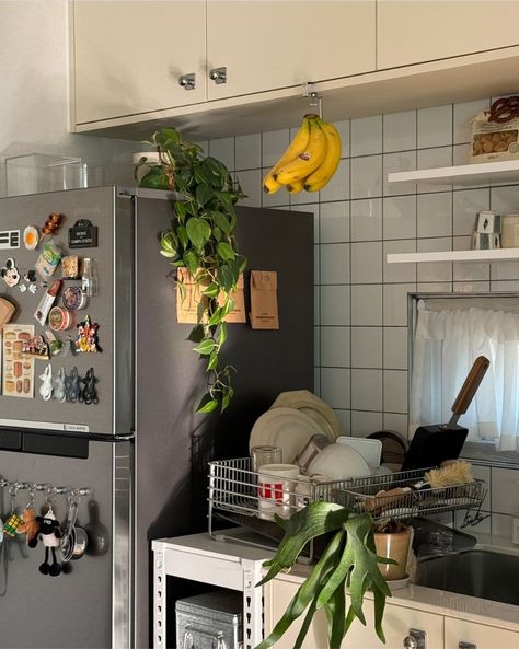 Chill Apartment Vibes Kitchen, Gender Neutral Apartment Decor, Kitchen Interior Apartment, Fridgescaping Aesthetic, Kitchen Decorating Ideas Apartment, Indie Apartment Aesthetic Kitchen, Cats In Apartments Aesthetic, Apartment Cute, Nyc Plant Apartment Aesthetic