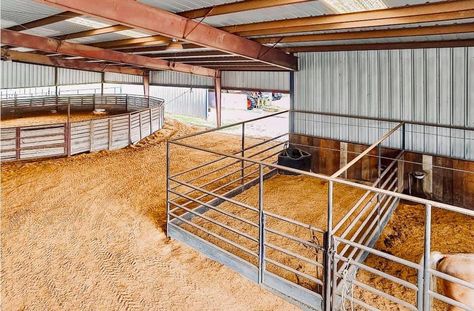 Small Horse Stable Ideas, Horse Breeding Facility, Horse Boarding Facility Ideas, Horse Stall Ideas Diy, Horse Barns Ideas, Show Cattle Barn, Horse Farm Layout, Livestock Barn, Barn Layout