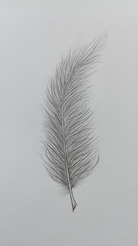 Feather Drawing Biro, Feather Sketch, Feather Drawing, Lino Prints, Charcoal Drawings, Feather Painting, Feather Pattern, Charcoal Drawing, Lino Print