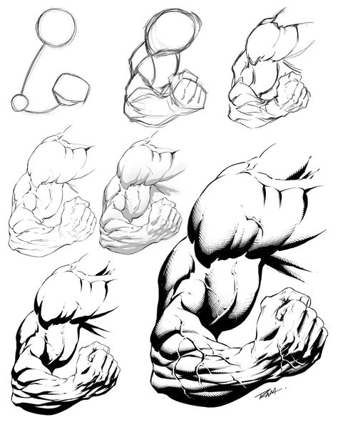 Anatomy and Action Poses | Here is a step by step on drawing stylized arm anatomy Anatomy Arms Drawing, Muscular Arms Drawing, Anatomy Muscles Drawing, Arm Perspective Reference, Arm Proportions, Arm Anatomy Reference, Arm Muscle Reference, Torso Anatomy Drawing, Art Fundamentals Practice