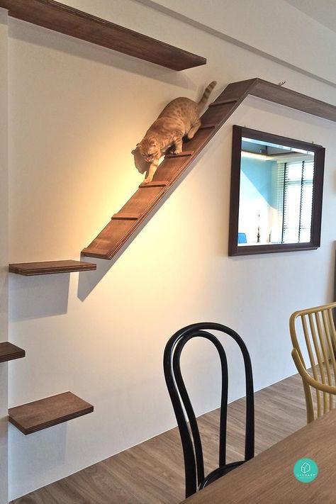 Cat Tree Plans, Cat Room Decor, Diy Design Ideas, Cat Climbing Wall, Chat Diy, Cat Bedroom, Cat Gym, Cat Patio, Cat Wall Shelves