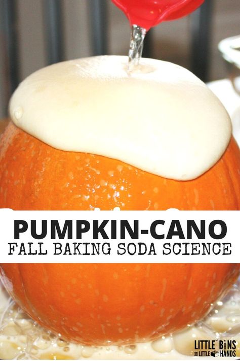 Pumpkin Volcano, Baking Soda Science, Halloween Science Activities, Pumpkin Science, Chemistry Activities, Pumpkin Unit, Fall Science, Halloween Science, Pumpkin Activities