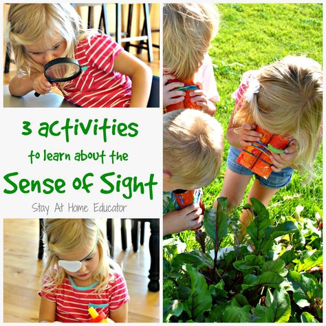 Preschoolers love to learn about the five senses. This theme is hugely appropriate as it can be very play based and hands-on while also being educational. Although we learned about all five sense in our unit, today I am sharing three creative ideas to teach preschoolers about the sense of sight. 5 Senses Preschool, Five Senses Preschool, 5 Senses Activities, Senses Preschool, Body Preschool, My Five Senses, Senses Activities, Sense Of Sight, 5 Senses