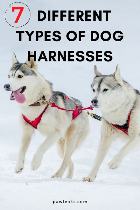 If you’re on the hunt for the best type of harness for your dog, you’re at the right address. While dozens of articles cover the best overall dog harnesses or no-pull dog harnesses, I wanted to dive deeper into whether you really need one and what kind of options are out there for your pup. In this post, I will show you 7 different types of harnesses and how to choose the right one for you. #dogs #products #harness Harnesses For Dogs, Dog Harness No Pull, Dog Pulling Harness, Leash Training Puppy, Dogs Products, Chiweenie Dogs, Dogs Harness, Large Dog Harness, Yellow Lab Puppies