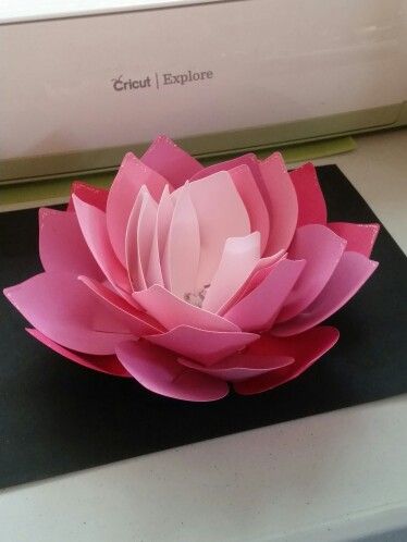 #imadeit #cricut Giant Lotus Flower Cricut Lotus Paper Flower, Paper Lotus Flower, Paper Flowers Lotus, Paper Lotus Diy, Diy Lotus Flower, Diy Lotus Flower Backdrop, Lotus Decoration Ideas, Diy Paper Lotus Flower, Giant Lotus Paper Flower