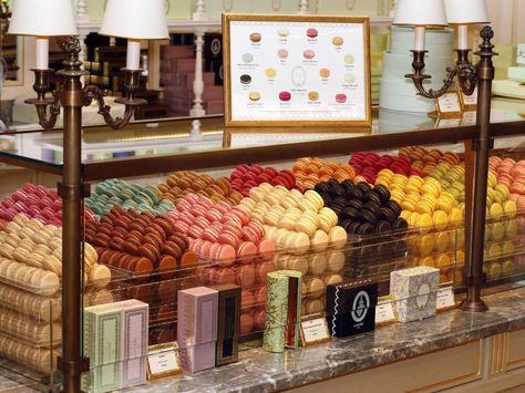 Macaron Store, Laduree Macaroons, Dark Liquor, Vegan Macarons, Laduree Macarons, Vanilla Macarons, Opening A Bakery, Laduree Paris, Meringue Cookies