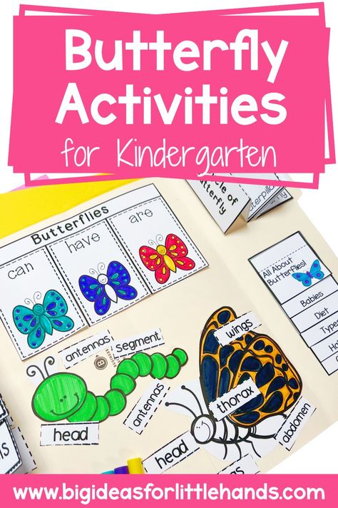 Engage your young learners with these fun and interactive butterfly science activities for kindergarten! This interactive notebook is a perfect teaching resource to introduce the concept of butterfly life cycle in a hands-on way. With engaging visuals and easy-to-follow instructions, your students will have a blast learning about the different stages of a butterfly's life. Find out more here! Butterfly Life Cycle Kindergarten, Science Activities For Kindergarten, Butterfly Science Activities, All About Butterflies, Life Cycles Kindergarten, Notebook Idea, Butterfly Science, About Butterflies, Labeling Activities