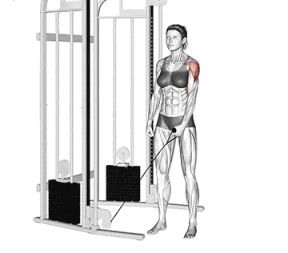 Single Arm Cable Lateral Raise Cable Machine Exercises, Cable Lateral Raise, Deltoid Muscle, Machine Exercises, Tuesday Workout, Shoulder Cable, Gym Plan, Weight Exercises, Cable Machine