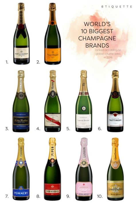 Wine Chart, Wine Facts, Champagne Brands, Wine Folly, Champagne Drinks, Chart Infographic, Wine Knowledge, Best Red Wine, Food Infographic