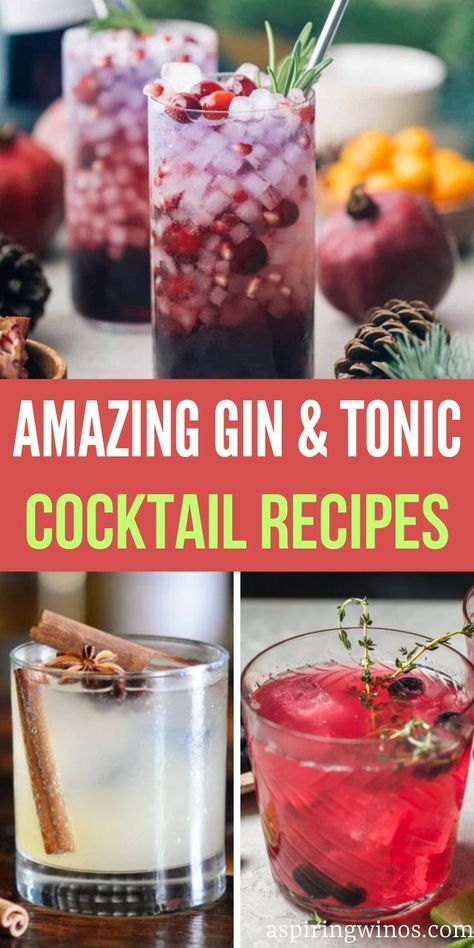 Discover the Best Gin and Tonic Cocktails | Gin and Tonic Cocktails | Unique and Classic Gin and Tonic Cocktails To Serve Up | Add a twist to next happy hour with these Gin and Tonic Cocktails | Gin and tonic cocktail recipes #Gin $GinAndTonics #Cocktails #CocktailRecipe #HappyHour Rosemary Gin And Tonic, Gin And Tonic With A Twist, Gin And Tonic Variations, Gin And Tonic Bar, Gin And Tonic Recipe, Best Gin And Tonic, Gin Tonic Recipe, Beer Cupcakes, Gin And Soda