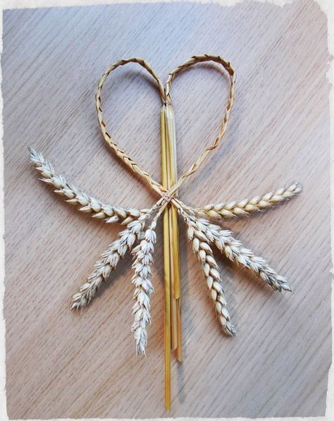 Corn Braids, Straw Star, Corn Dollies, Wheat Decorations, Wheat Weaving, Harvest Crafts, Corn Dolly, Library Crafts, Folk Culture