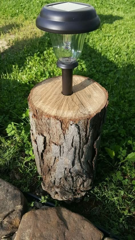 Solar Landscape Lighting, Solar Landscape, Backyard Lighting, Have Inspiration, Backyard Fire, Deck Lighting, Fire Pit Backyard, Tree Stump, Backyard Projects