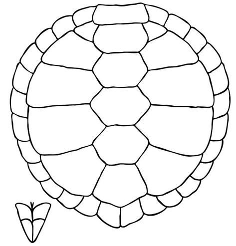 Turtle Shell Pattern Coloring Page Turtle Shell Pattern, Ninja Turtle Shells, Tortoise Drawing, Ocean Craft, Sea Turtle Shell, Turtle Coloring, Shell Drawing, Beginner Sketches, Turtle Coloring Pages