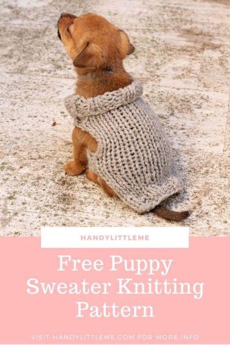 Knitting Patterns For Dogs, Dog Knitting, Knitted Dog Sweater Pattern, Knitting Patterns Free Dog, Kitten Sweater, Free Puppies, Dog Sweater Pattern, Puppy Coats, Small Dog Sweaters