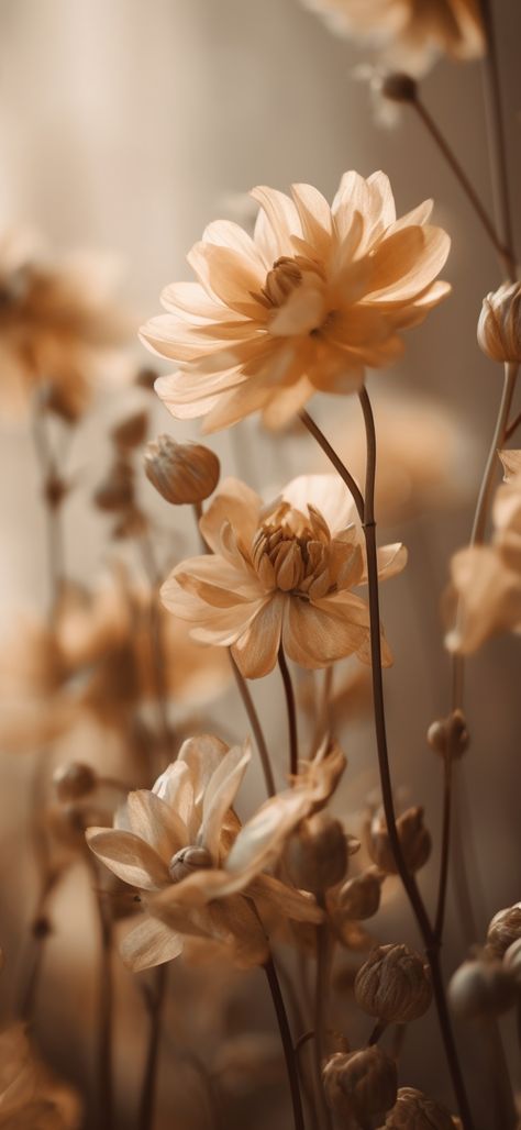 Paintings With Brown Backgrounds, Real Aesthetic Pictures, Brown Spring Aesthetic, Yellow Brown Background, Vintage Flowers Wallpaper, Wallpaper Nature Flowers, Foto Tips, Phone Wallpaper Images, Jolie Photo