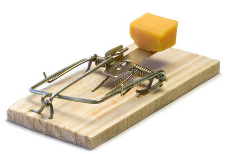 Mouse Trap. Cheese , #AFF, #Mouse, #Trap, #Cheese #ad Trap Aesthetic, Cheese Photo, Mouse Trap, Mouse Traps, Academia Aesthetic, Stock Photography Free, Rodents, Monster High, Mice