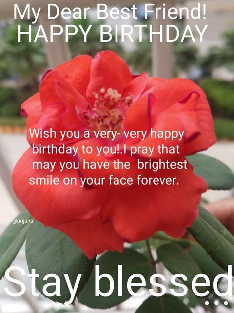 Happy Birthday Dost, Dear Best Friend, Birthday Wishes For Friend, Creative Activities For Kids, Bright Smile, Very Happy Birthday, Happy Birthday To You, Creative Activities, Happy Birthday Wishes