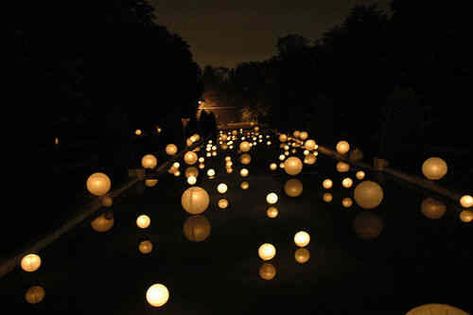 Wedding Backyard Decorations, Floating Pool Candles, Backyard Wedding Pool, Pool Wedding Decorations, Floating Paper Lanterns, Pool Candles, Wedding Extras, Pool Wedding, Floating Lanterns