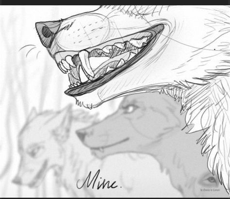 Faces Female, Wolf Drawings, Wolf Drawing, Drawing Faces, Wolf Art, Drawing Tips, A Drawing, Wolves, Animal Drawings