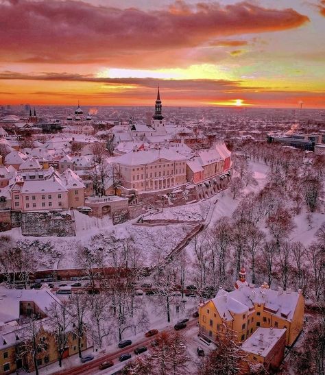 Tallin, Estonia Old Town❄️💕 Estonia Aesthetic, Tallin Estonia, European Bucket List, Tallinn Estonia, London Places, Dream Travel Destinations, Futuristic City, Paradise On Earth, Tallinn