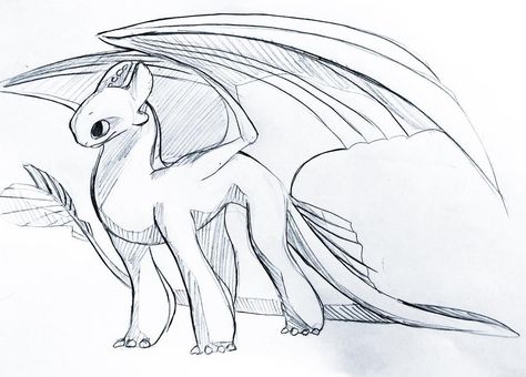 Light Fury the White Night Fury dragon sketch drawing Light Fury Dragon Drawing, Night Fury Dragon Drawing, How To Train Your Dragon Sketches, Night Fury Sketch, How To Train Your Dragon Drawings, Light Fury Drawing, Night Fury Drawing, Night Fury Art, Light Fury Art