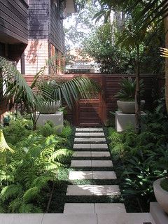 Natural_Habitats_Landscapes_Residential_New_Zealand_1 (60)… | Flickr Front Yard Design, Modern Garden Design, Side Garden, Have Inspiration, Yard Design, Side Yard, Small Garden Design, Small Gardens, Tropical Garden