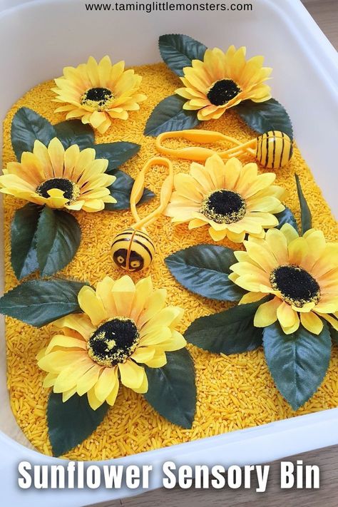 How to Make a Sunflower Sensory Bin.    This is an easy sensory activity that you can use for a Fall / Autumn theme.  Perfect for toddlers and preschoolers.    #Fall #autumn #sensory #toddler #preschool Sunflower Lesson Plans, Sunflower Theme Preschool, Sunflower Toddler Activities, Sunflower Sensory Bin, Sunflower Crafts For Toddlers, Sunflower Activities For Preschool, Easy Sensory Activities, Morning Centers, Sensory Activities For Kids