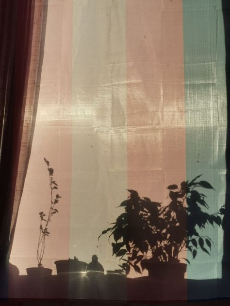 Trans pride flag gives almost a filter type of look thanks to the sunset Trans Pride Flag, Trans Art, Trans Boys, Trans Flag, Catty Noir, Trans Rights, Trans Pride, Queer Art, Pride Flag