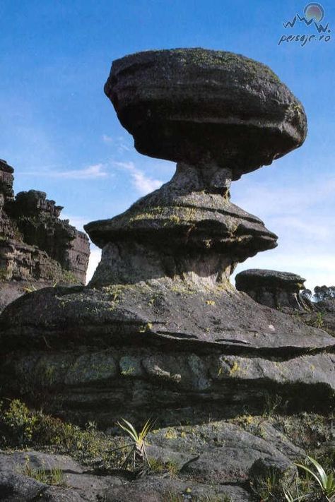 Monte Roraima 11 Monte Roraima, Mount Roraima, Mountain Formation, Mountain Images, Disney Up, Landscape Concept, Beautiful Rocks, Scenic Beauty, Natural Phenomena