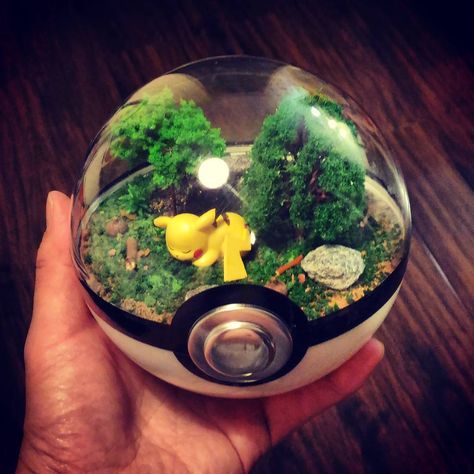 Gefällt 540 Mal, 36 Kommentare - Another Town by tenxia (@anothertownbytenxia) auf Instagram: „Custom order: sleeping pikachu #pikachu #diorama #pokemon #pokemonsunandmoon #terrarium #pokemongo…“ Inside Pokeball, Real Pokeball, Pokeball Art, Pokemon Bedroom, Pokemon In Real Life, Pikachu Pikachu, Pokemon Photo, Rich Kids Of Instagram, Cool Pokemon Wallpapers