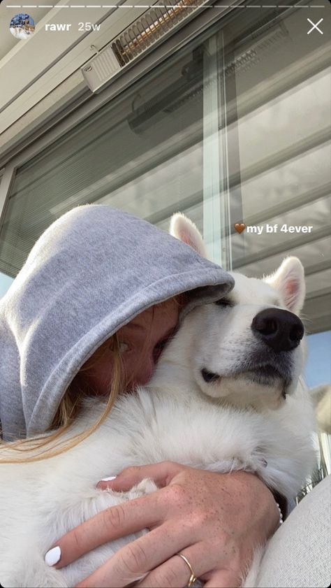 Dog Story Instagram Idea, Cute Dog Instagram Stories, Dog Aesthetic Instagram Story, Puppy Story Ideas, Pictures With Dogs Instagram, Insta Dog Stories, Pet Instagram Story Ideas, Instagram Story Dog Ideas, Dog Insta Story Ideas