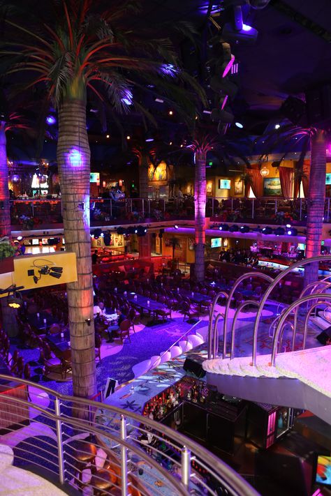 Tropical Cafe, Famous Cocktails, Specialty Drinks, Events Place, Visit Orlando, Swag Pics, Nightclub Design, Scenery Photography, Happy Birthday Quotes For Friends