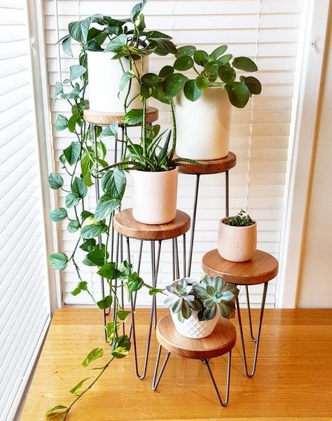 Do you need tips on indoor plants decor ideas? What are the best low maintenance indoor plants, indoor plants styling, best indoor plants decor living room. Indoor plant stands, indoor plant walls, indoor plnt display ideas. From tall, small and large indoor plants decor and styling. #indoorplants #indoorplantsdecor #indoorplantstyling #indoorplantsdecorlivingroom Indoor Plants Decor Living Room, Planting Chart, Boho Deck, Minimalistic Home Decor, Low Maintenance Indoor Plants, Indoor Plants Styling, Large Indoor Plants, Plant Styling, Small Indoor Plants