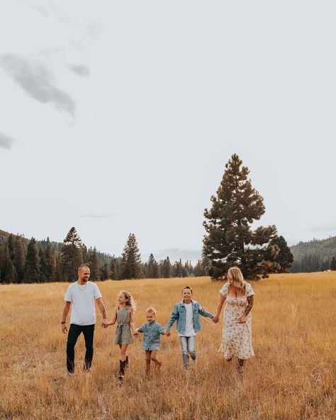 a perfect overcast day with the sweetest family✨ #family #familyphotography #familyphotographer #familyphotos #couplesphotographer #couplesphotography #weddingphotographer #sacramentophotographer #truckeephotographer #grassvalleyphotographer #marysvillephotographer #photographer #photography #photo Family Photos Grassy Field, Fam Photos, Grassy Field, Grass Valley, Family Shoot, Family Family, Photographer Photography, Family Pictures, Family Photographer