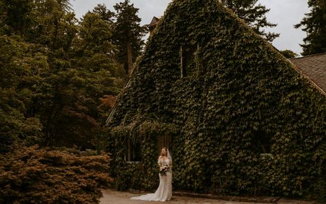 Weddings | Milner Gardens | Vancouver Island University | Canada Magnolia Room, Salish Sea, Garden Estate, February 1st, Fully Booked, Life Guide, Wedding Photography Packages, Ancient Forest, Vancouver Wedding