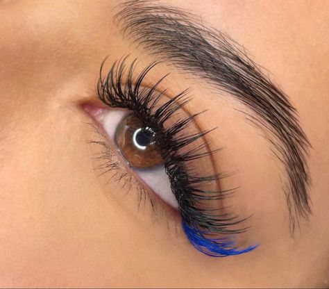 Blue Eyelashes Extensions, Pink And Blue Eyelash Extensions, Black And Blue Lash Extensions, Eye Lash Extensions Styles Color, 4th Of July Lash Extensions, Eyelash Color Extensions, Color Lash Extensions Eyelashes, Eyelash Extensions Colorful, Eyelash Extensions With Blue