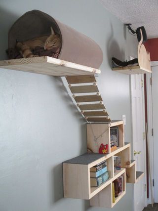 Aire de jeu pour chat installée au mur. Elle est composée de cubes, d'un pont souple en lattes de bois, d'une planche avec tunnel et d'une planche-couchette avec un rebord découpé en forme de chat - tutoriel Cat Adventure, Diy Cat Tower, Katt Diy, Katt Grejer, Chat Diy, Diy Cat Tree, Cat Houses, Cat Playground, Cat Perch