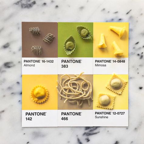 2,470 Me gusta, 38 comentarios - lucy litman (@lucialitman) en Instagram: "Some colorful pasta made by @chefevanallumbaugh of @flourandwatersf! #pantoneposts" Colorful Pasta, Pantone Palette, Colour Board, Color Pallets, Pantone Color, Food Art, True Colors, Color Palette, Pasta