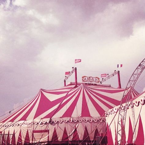 Pink Circus Aesthetic, Pastel Circus, Pink Circus, Circus Aesthetic, Aesthetic Pink, Monster High, Circus, Fair Grounds, Pastel